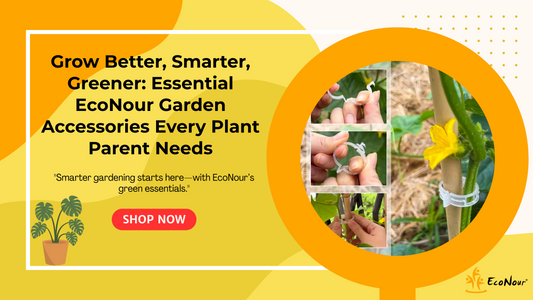 Best Garden Accessories