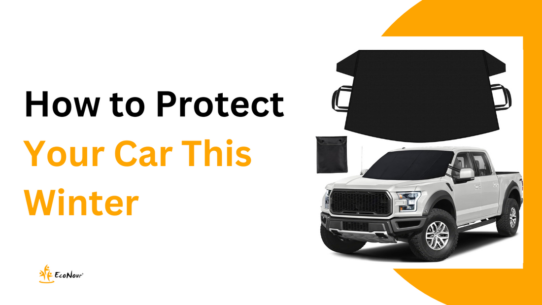 How to Protect Your Car This Winter