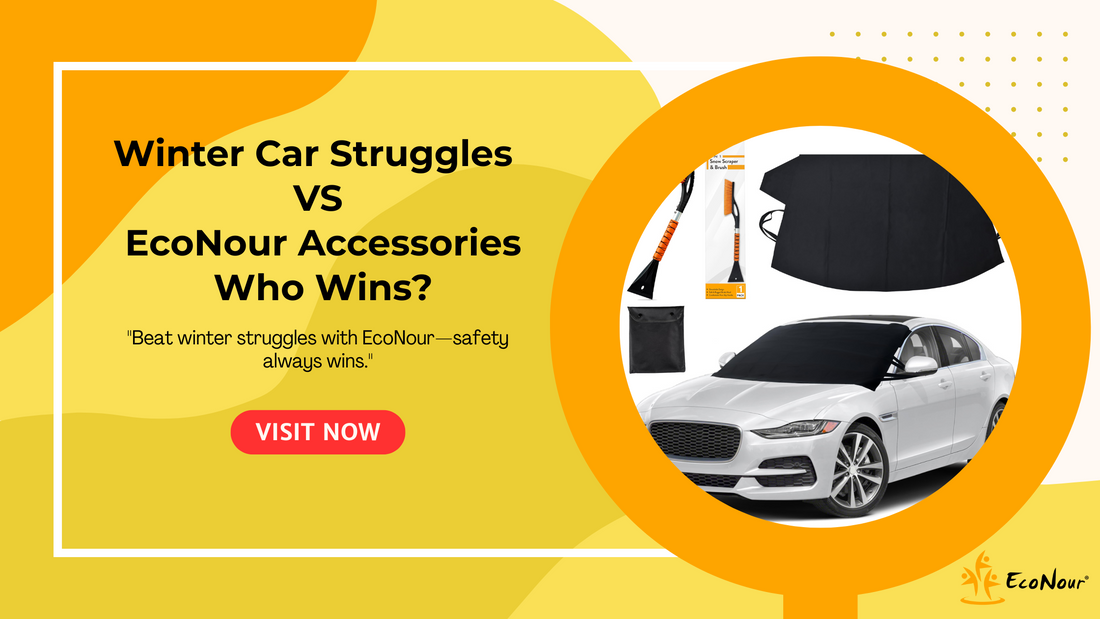 Winter Car Struggles vs. EcoNour Accessories
