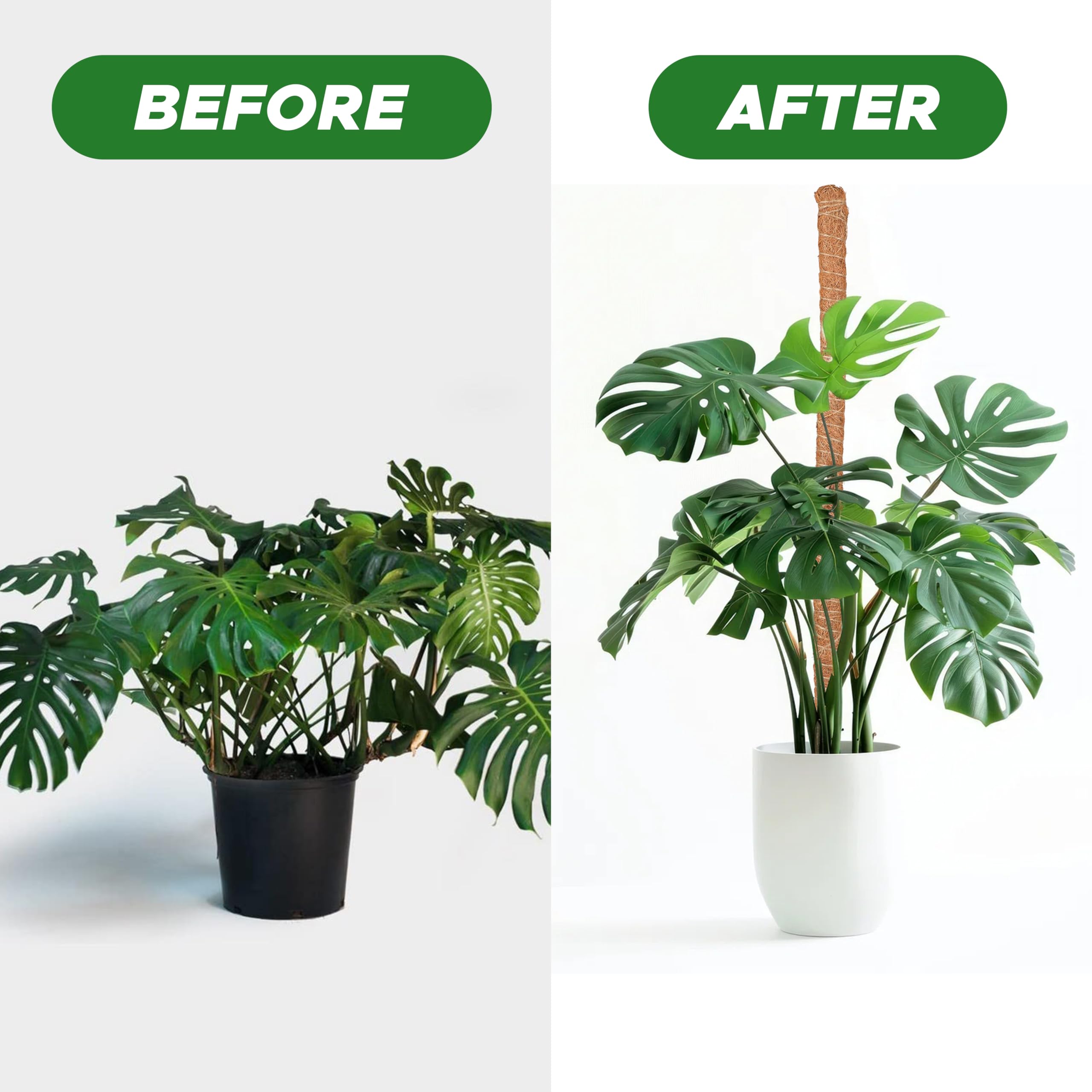 Moss pole Monstera plant support 28 inch EcoNour upright growth plant stick