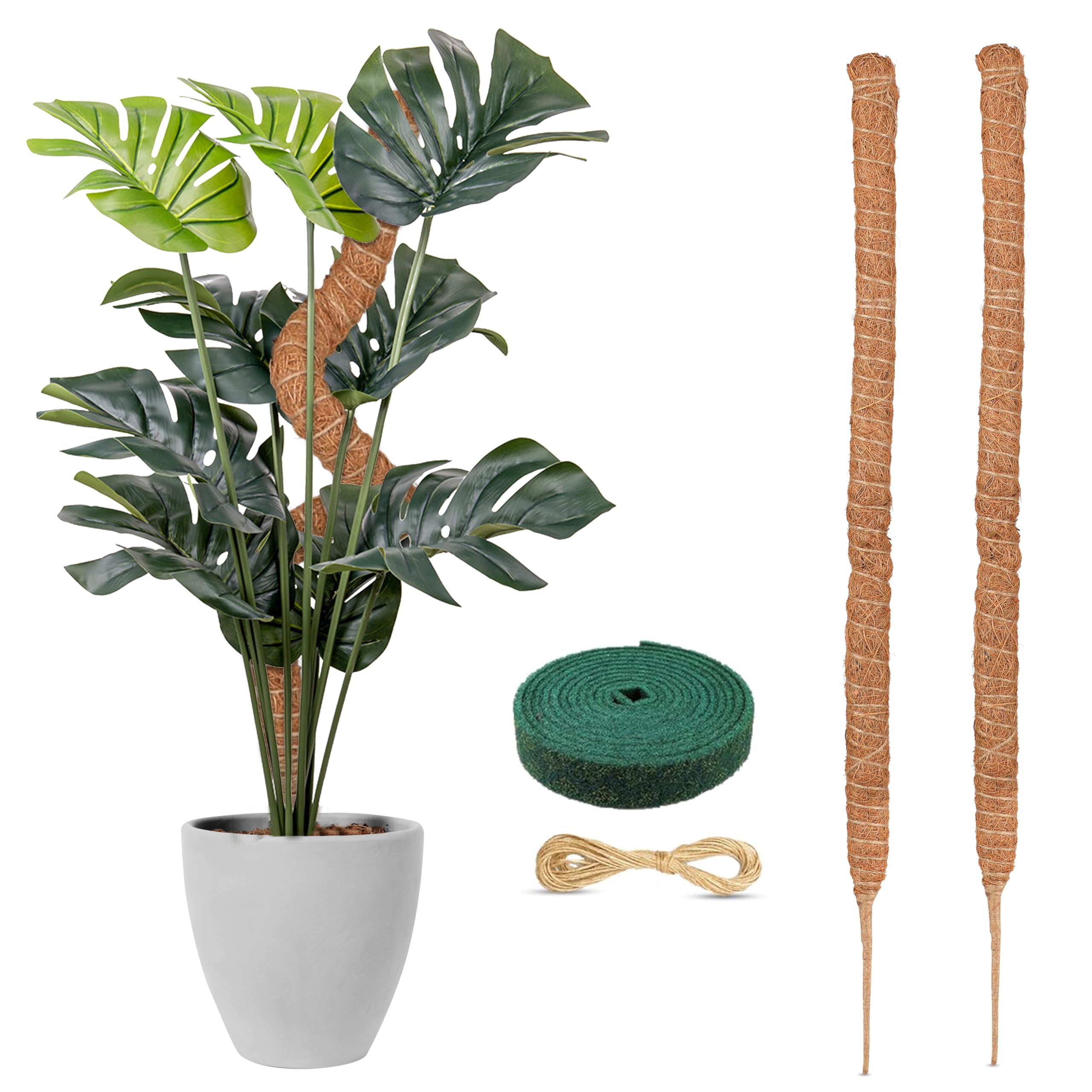 Moss pole Monstera plant support 28 inch 2 pack EcoNour for indoor climbing plants