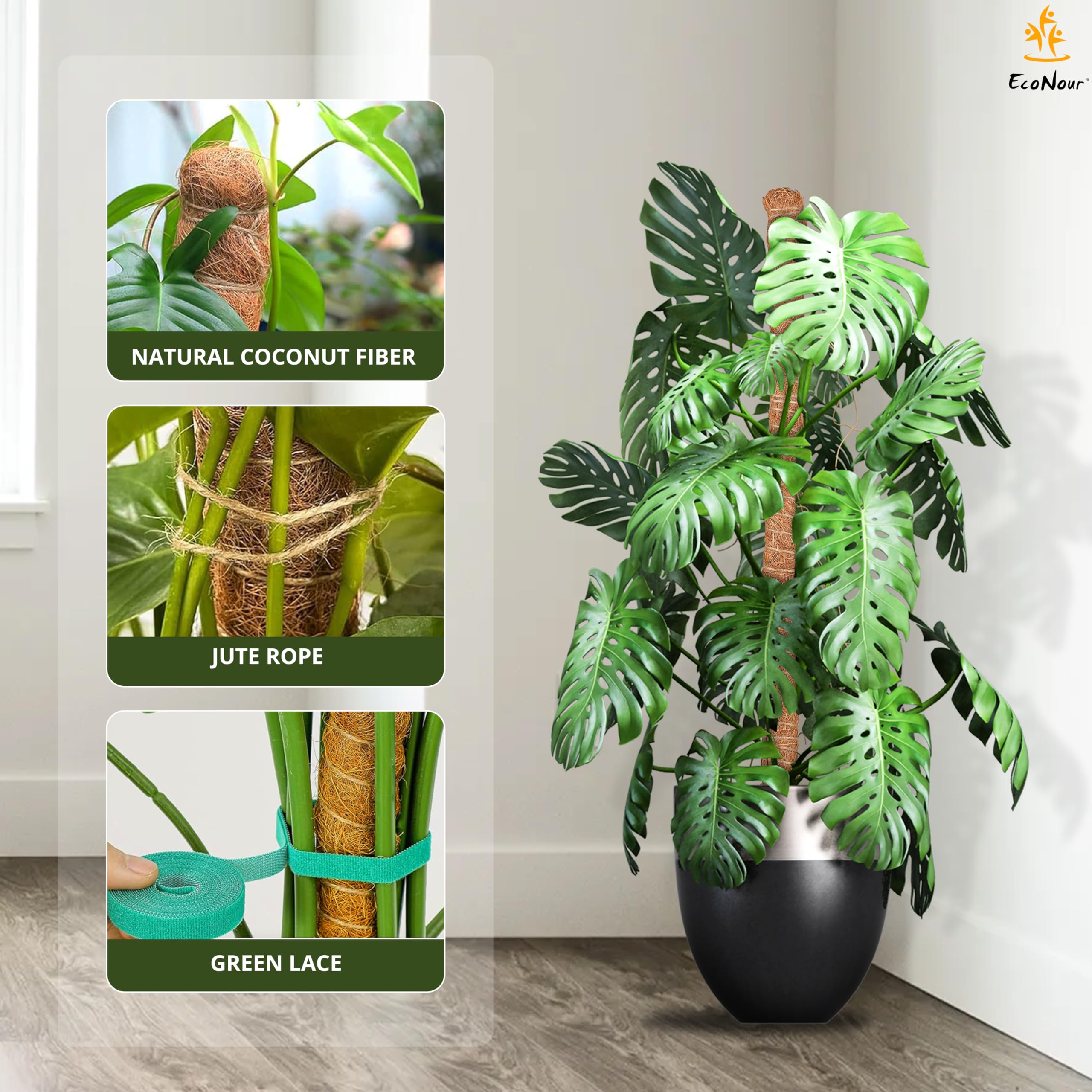 monstera plant training Moss Pole Monstera Plant Support 28" for Indoor Plant 2-Pack