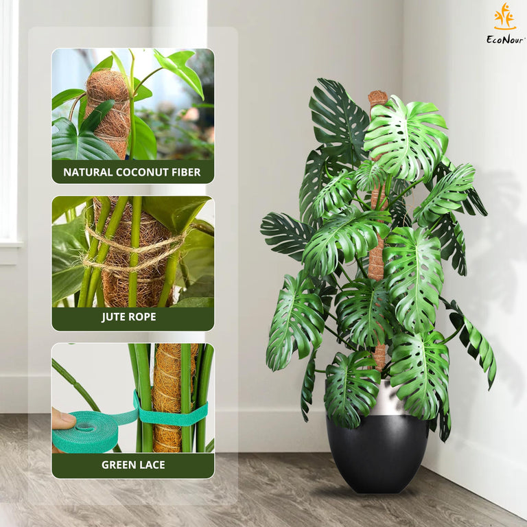 Moss pole Monstera plant support 28 inch EcoNour supports pothos and philodendrons