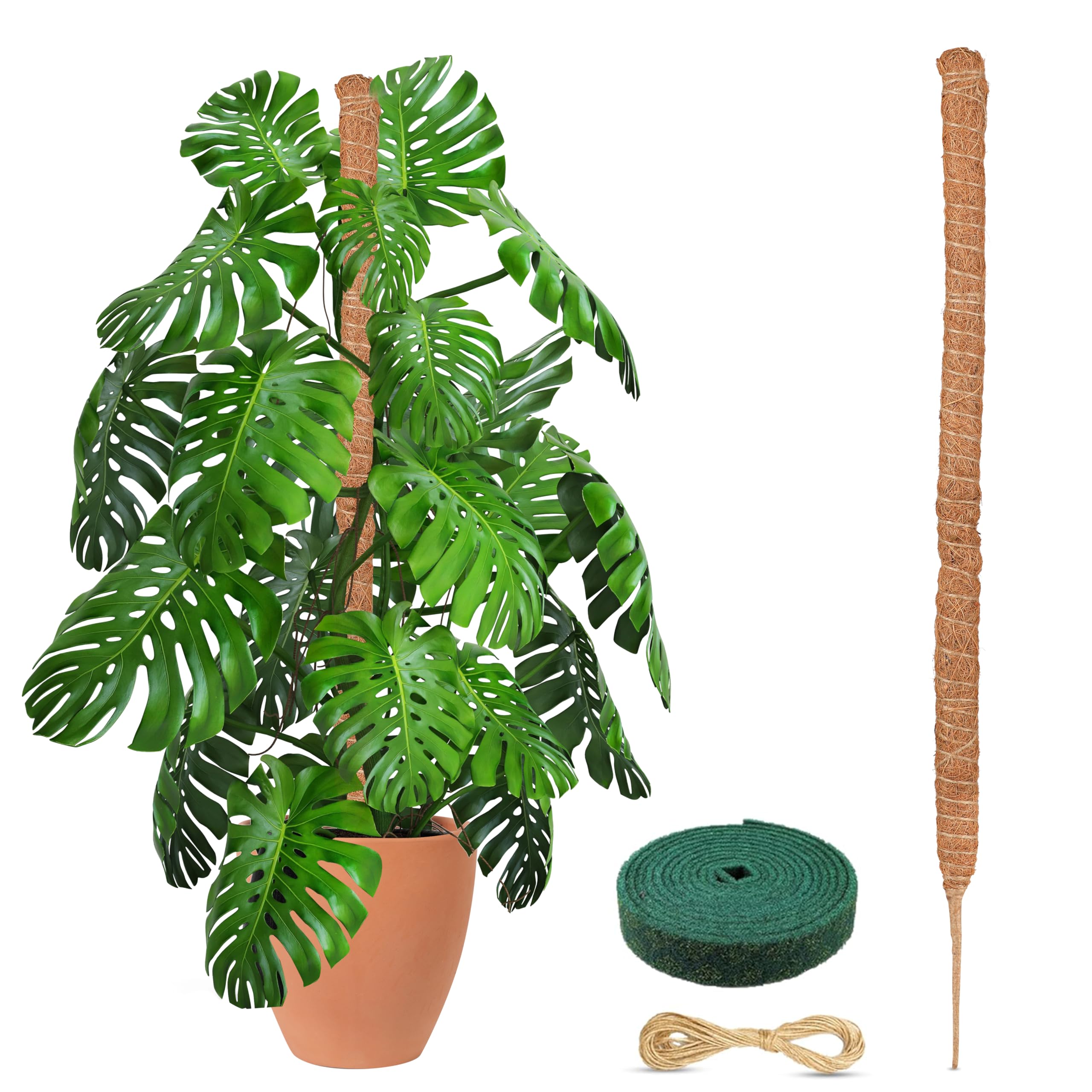 EcoNour Tall Moss Pole for Plants (1-Pack) 48-Inch | Large Monstera Plant Support for Climbing and Growth | Elevate Your Indoor Garden | Tall Plant Support for Indoor Potted Plants to Grow Upwards