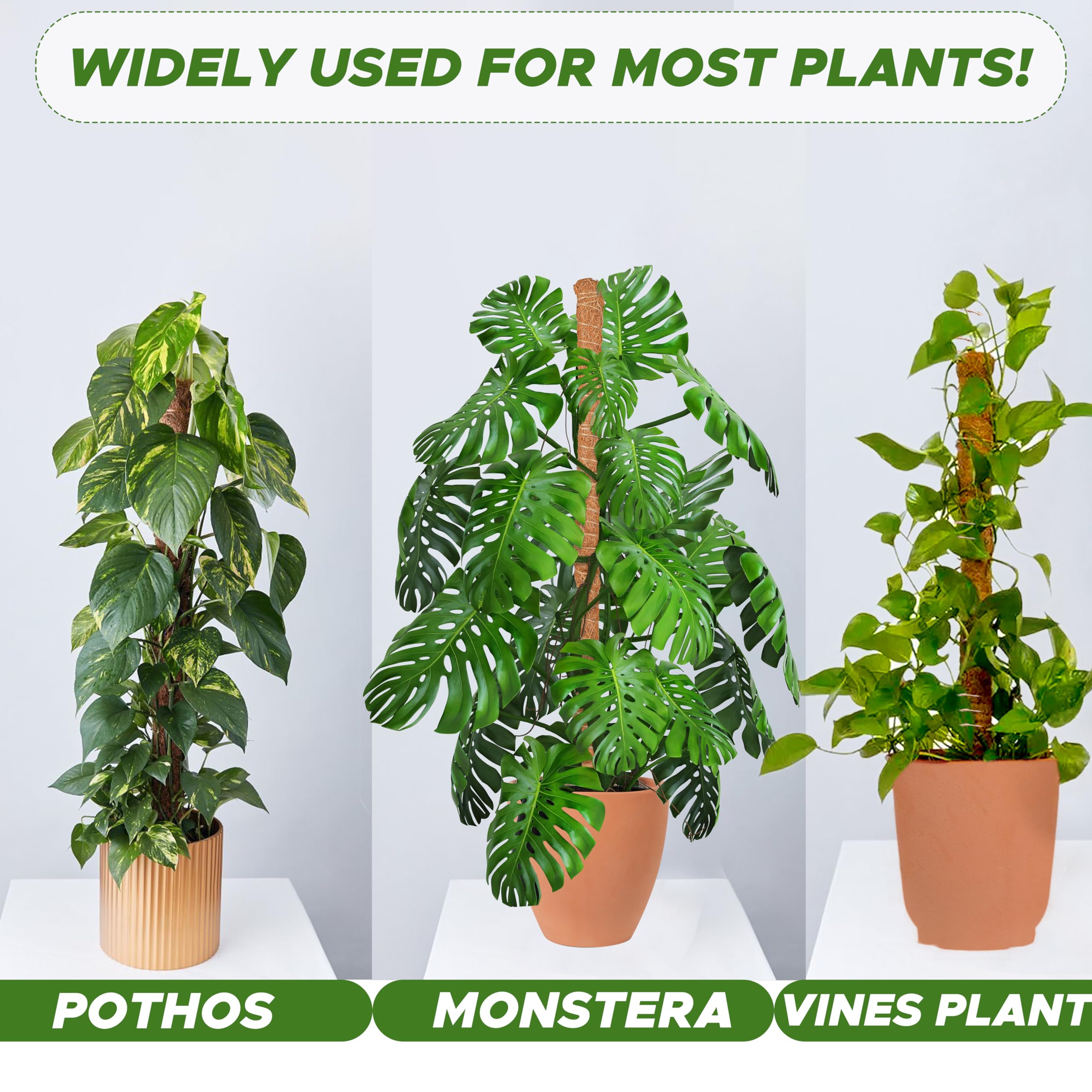 Moss pole Monstera plant support 28 inch EcoNour indoor climbing plant support