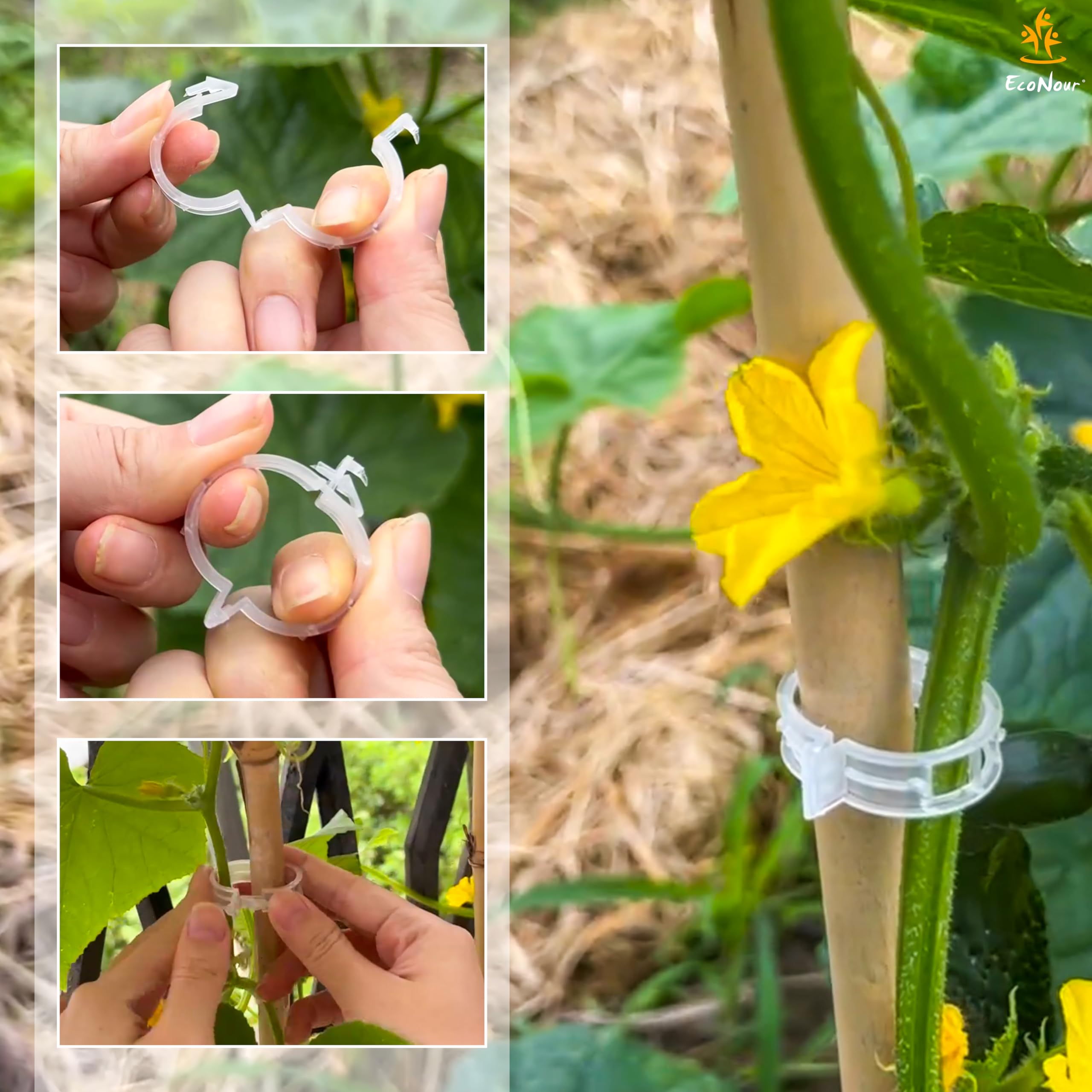 EcoNour Plant Support Clips garden for healthy plant growth