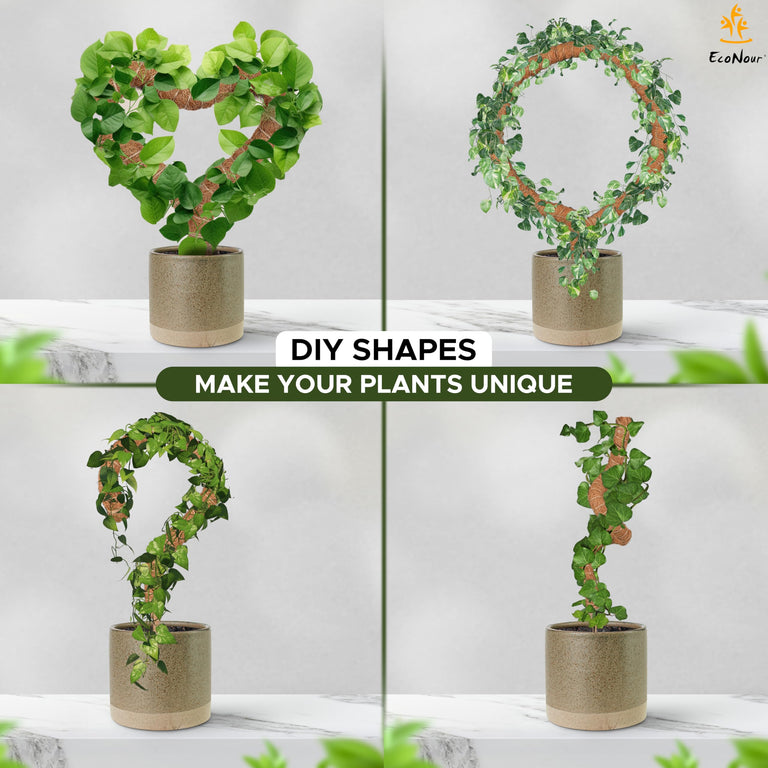 Moss pole Monstera plant support 28 inch EcoNour strong sticks for potted plants