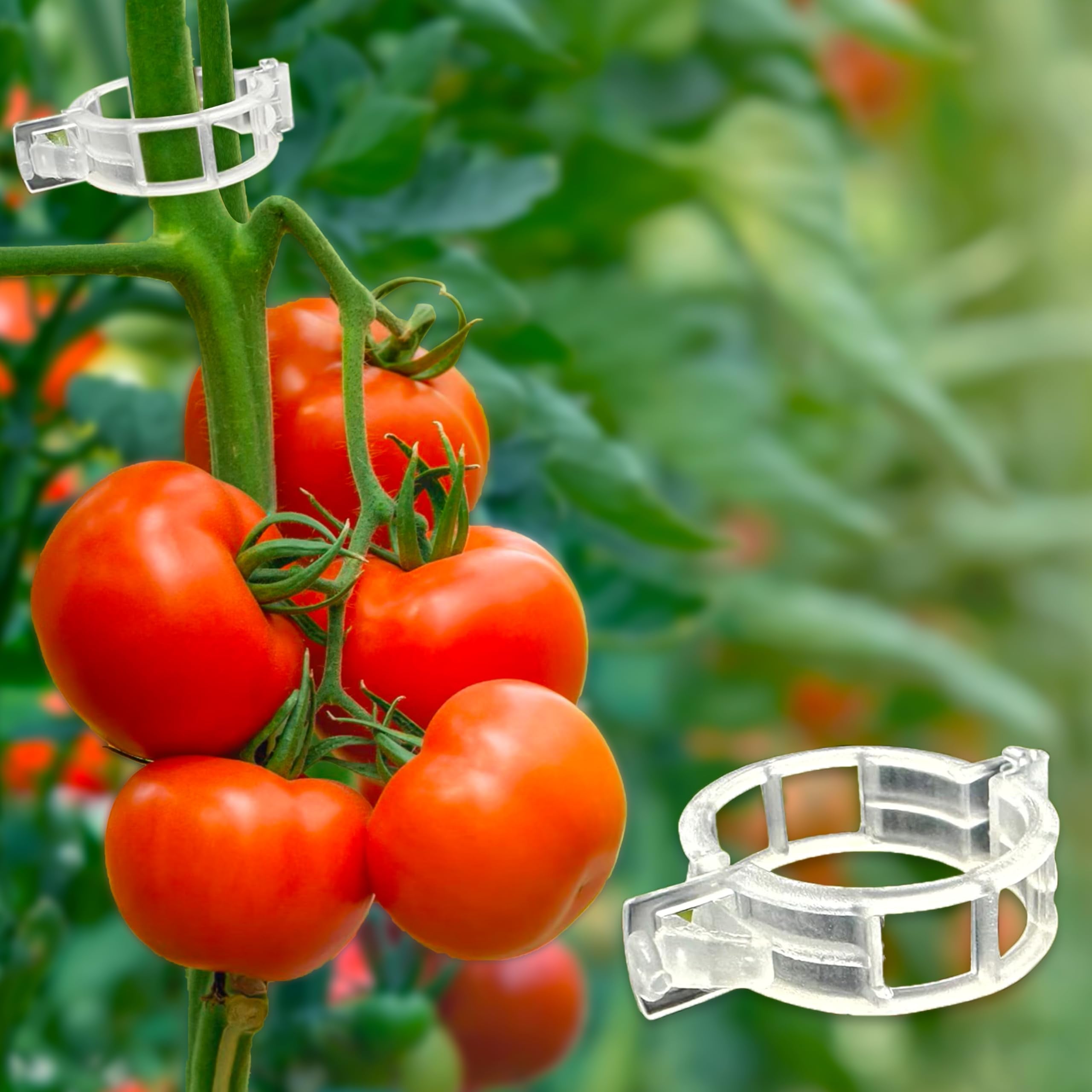 100 Pcs Plant Support Clips for garden plants and vines