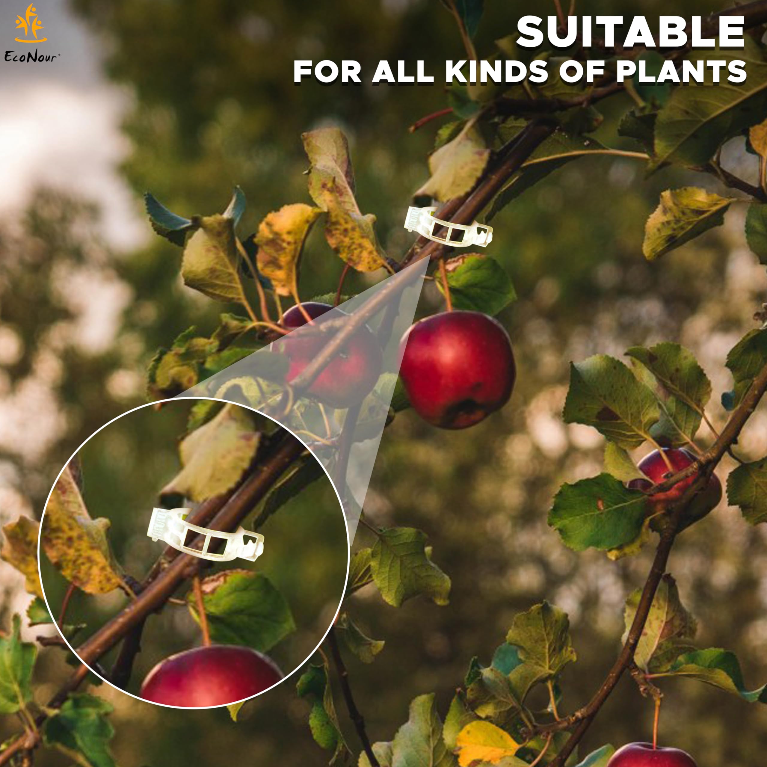 Plant support clips to grow climbing plants upright