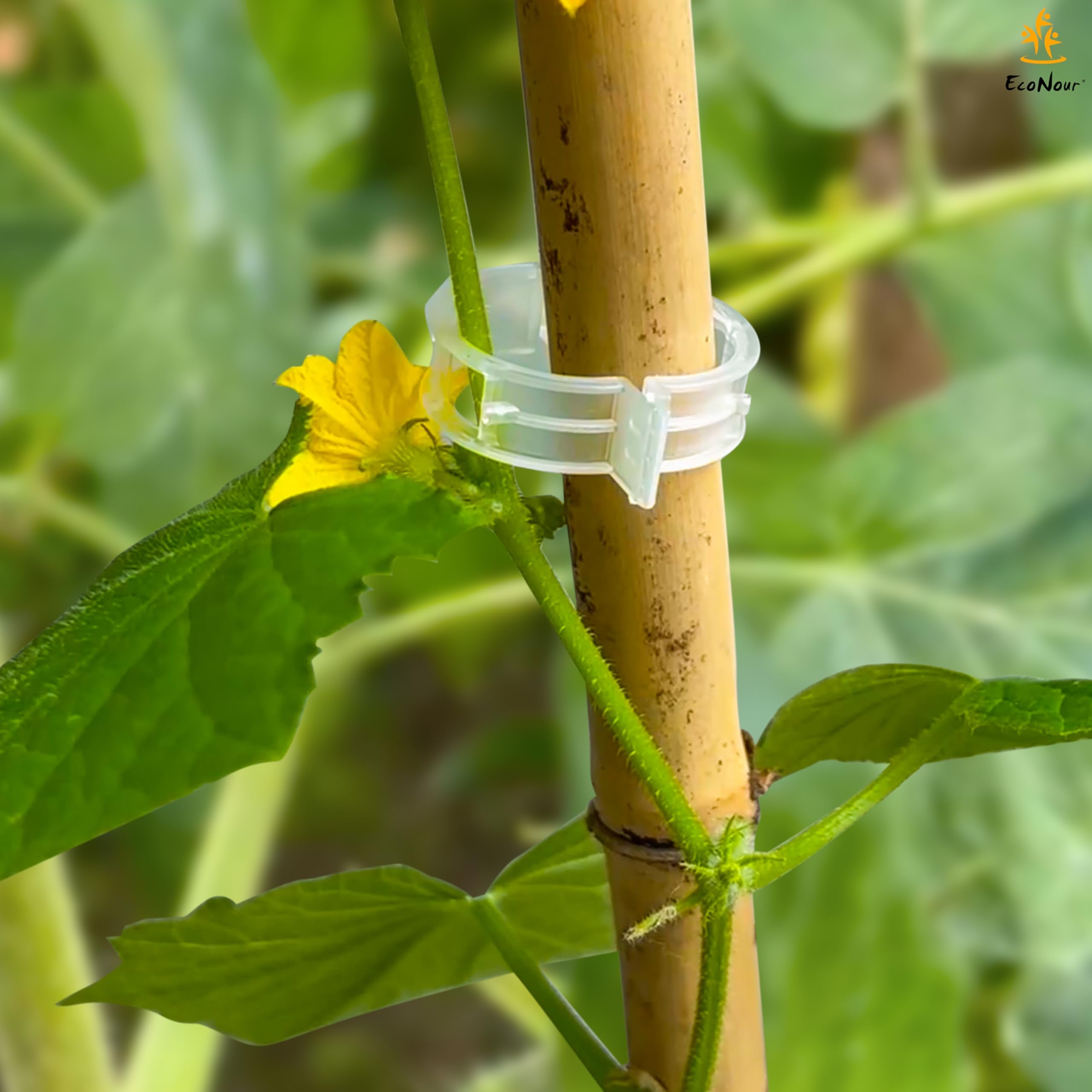 Climbing plant support clips for tomatoes and vines