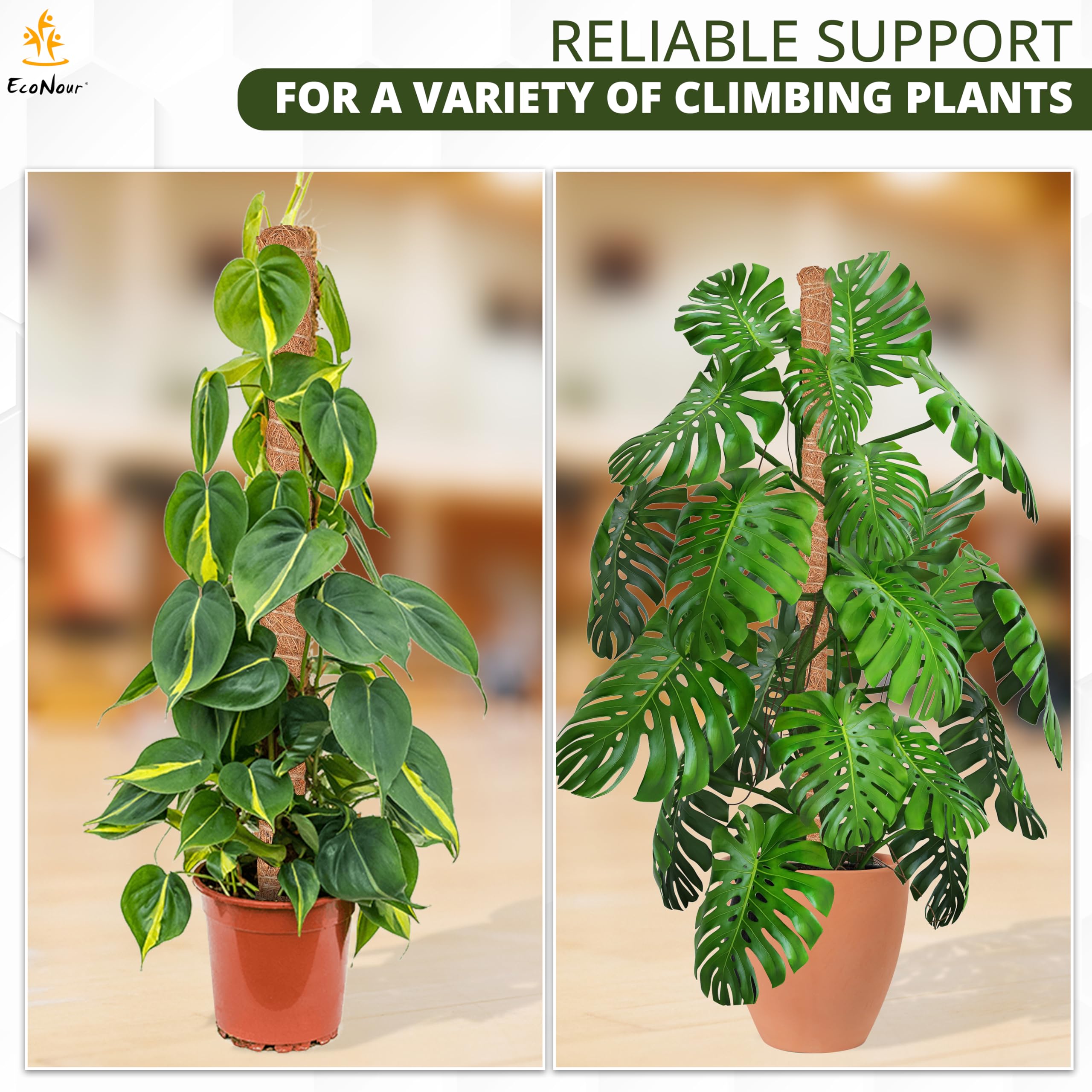 EcoNour Tall Moss Pole for Plants (1-Pack) 48-Inch | Large Monstera Plant Support for Climbing and Growth | Elevate Your Indoor Garden | Tall Plant Support for Indoor Potted Plants to Grow Upwards