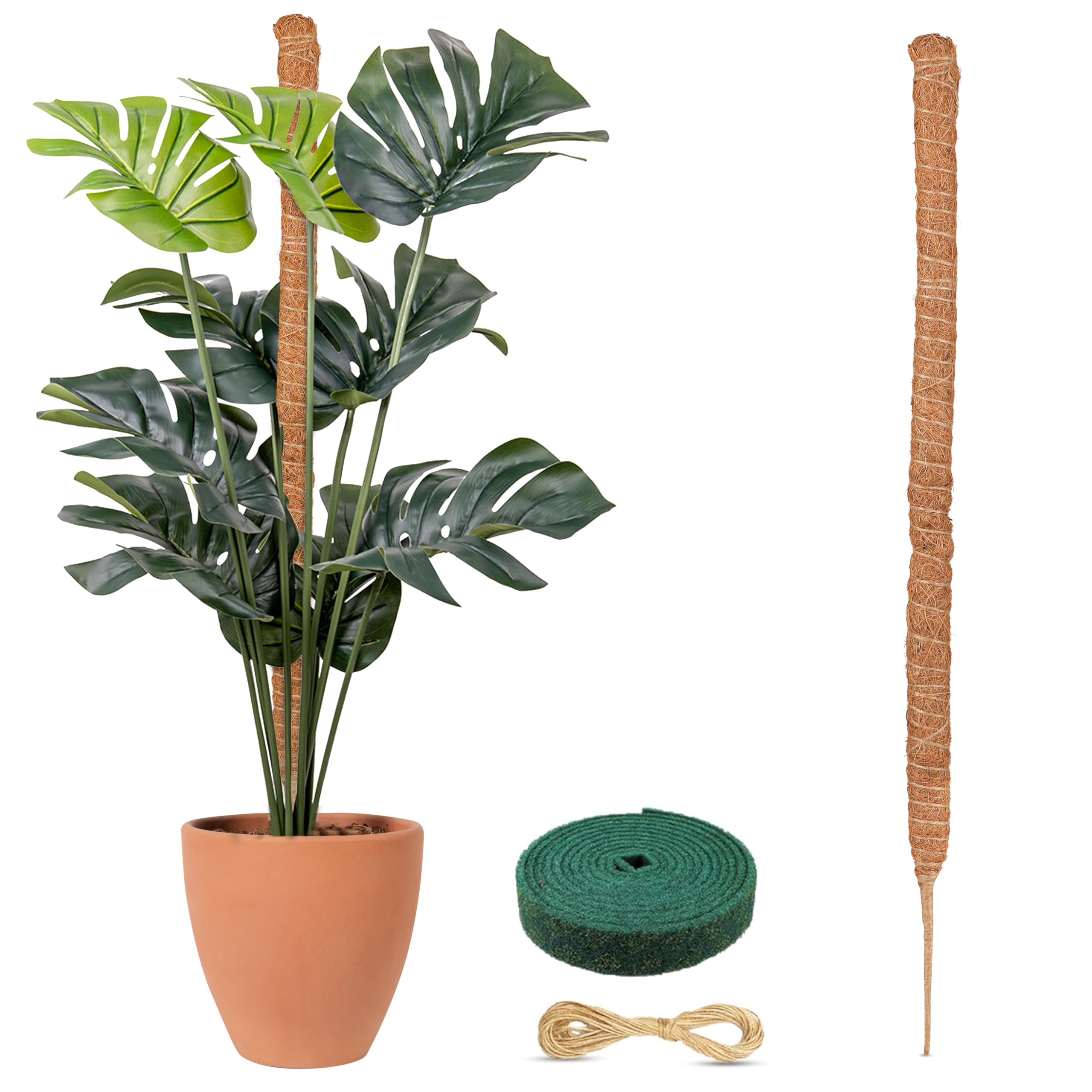 staking monstera plant Moss Pole for Plants 63"