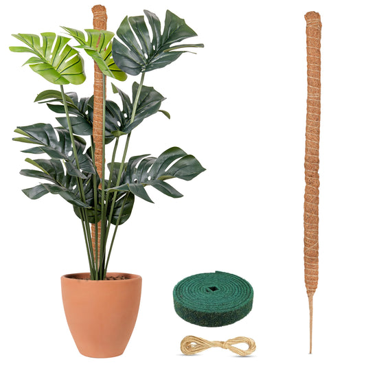 Moss Pole for Plants – 63 inches | Monstera Plant Support for Plant