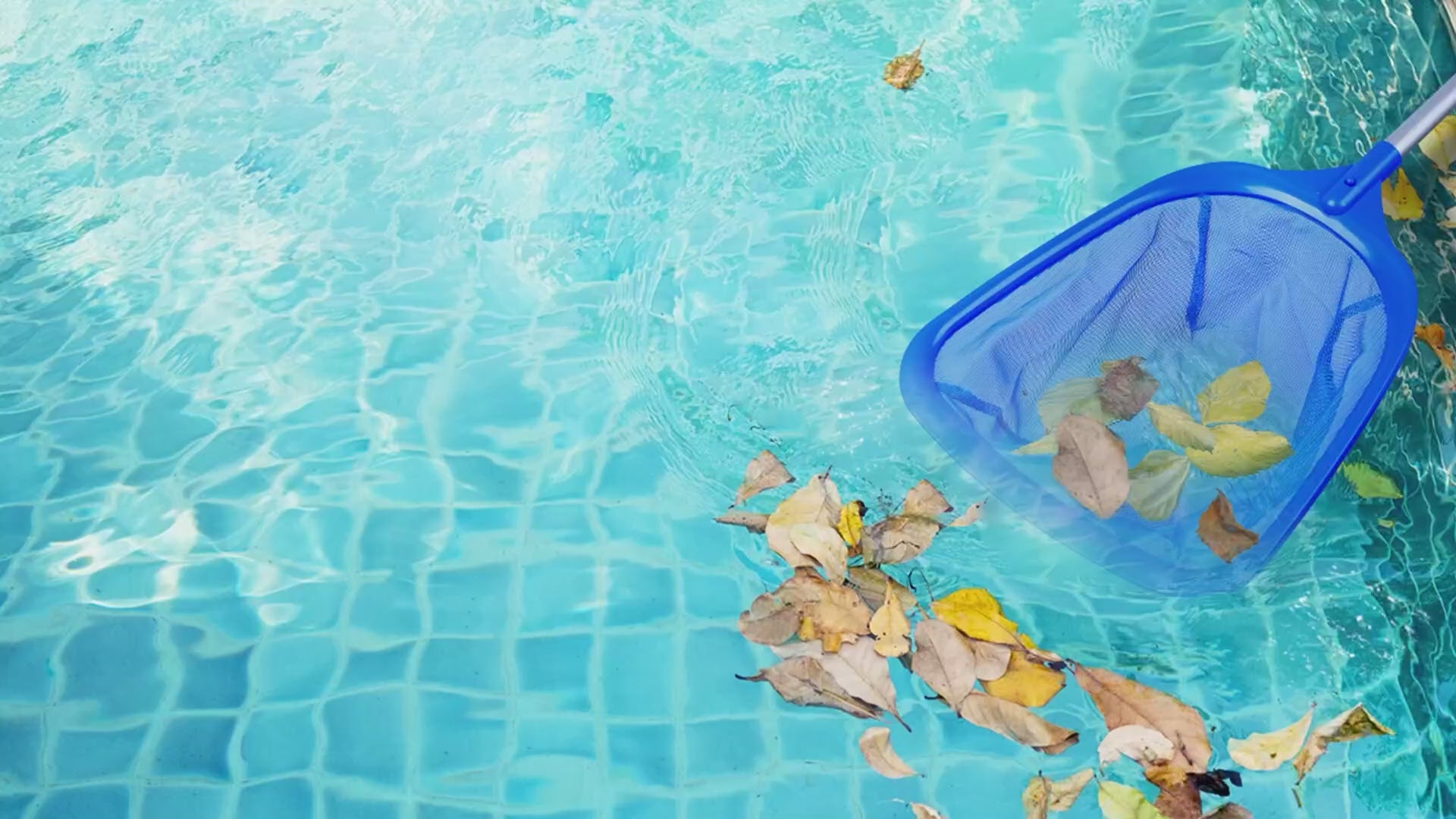 Small 25-inch pool and hot tub skimmer net with pole ultra-fine mesh for cleaning leaves pet hair debris small pond net extendable handle pool cleaning tool