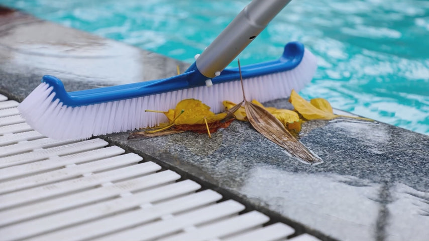 EcoNour Pool Brush Head For Cleaning Pool Walls, Tiles, Pools |  Nylon Brush Pool Cleaning Kit with Curved Ends